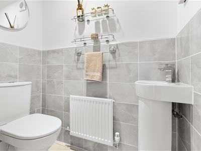 Picture 19